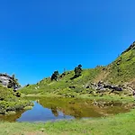 Stadler *