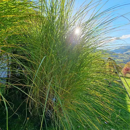 Stadler * バート・ホーフガシュタイン